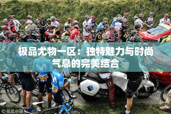 极品尤物一区：独特魅力与时尚气息的完美结合