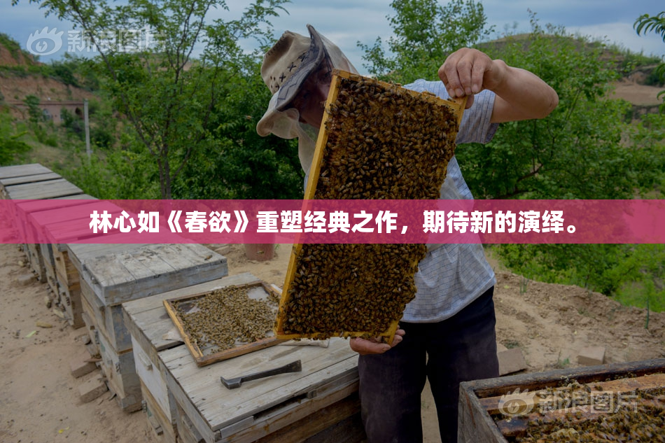 林心如《春欲》重塑经典之作，期待新的演绎。
