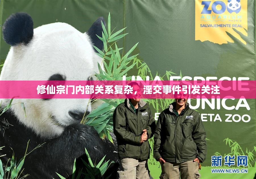 修仙宗门内部关系复杂，淫交事件引发关注
