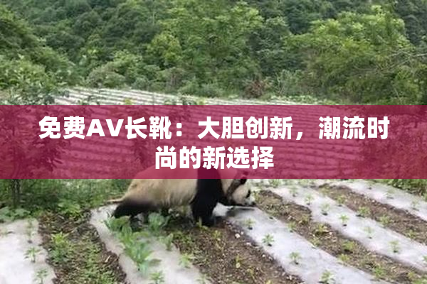 免费AV长靴：大胆创新，潮流时尚的新选择