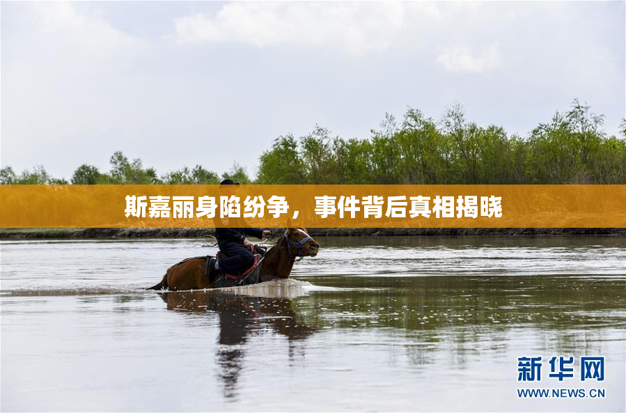 斯嘉丽身陷纷争，事件背后真相揭晓
