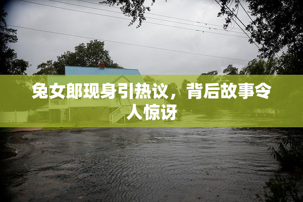 兔女郎现身引热议，背后故事令人惊讶