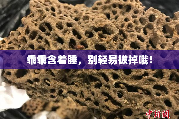 乖乖含着睡，别轻易拔掉哦！