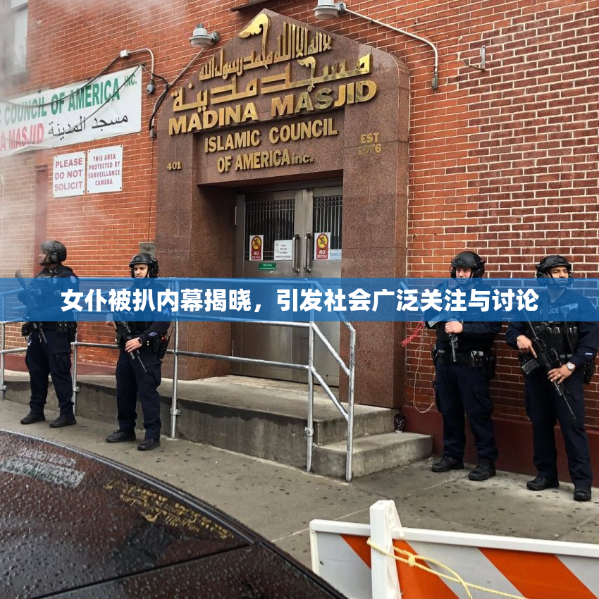 女仆被扒内幕揭晓，引发社会广泛关注与讨论