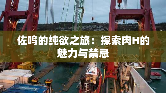 佐鸣的纯欲之旅：探索肉H的魅力与禁忌