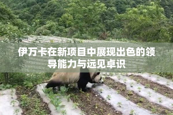 伊万卡在新项目中展现出色的领导能力与远见卓识
