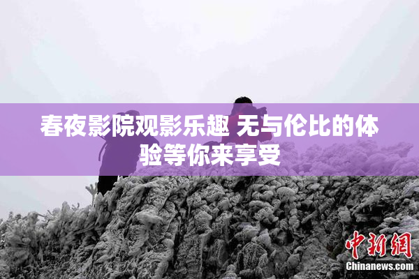 春夜影院观影乐趣 无与伦比的体验等你来享受