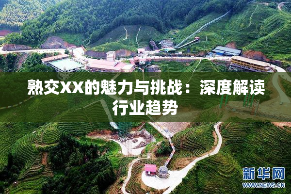 熟交XX的魅力与挑战：深度解读行业趋势