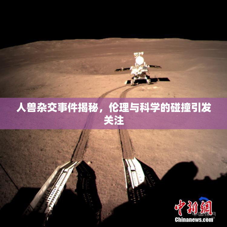 人兽杂交事件揭秘，伦理与科学的碰撞引发关注