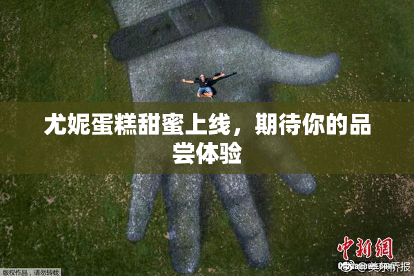尤妮蛋糕甜蜜上线，期待你的品尝体验