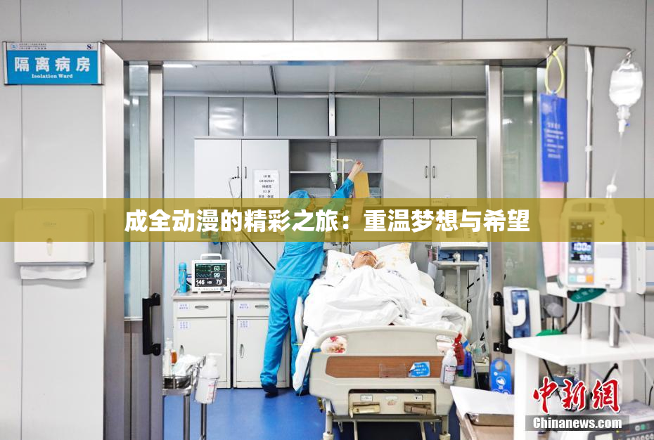 成全动漫的精彩之旅：重温梦想与希望