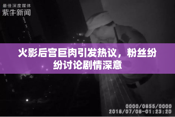 火影后宫巨肉引发热议，粉丝纷纷讨论剧情深意