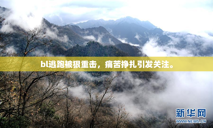 bl逃跑被狠重击，痛苦挣扎引发关注。