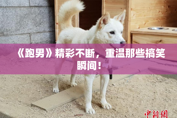 《跑男》精彩不断，重温那些搞笑瞬间！