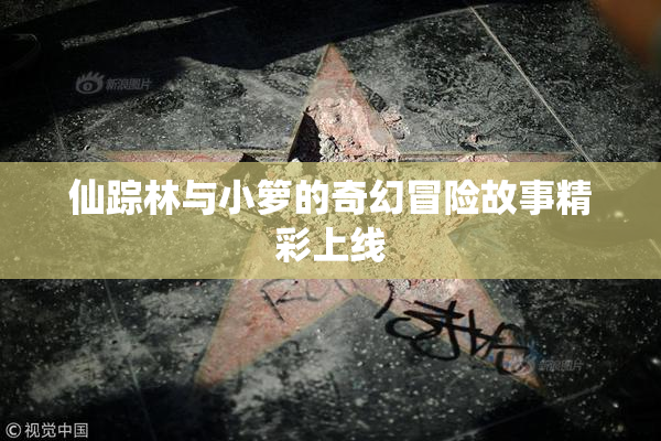 仙踪林与小箩的奇幻冒险故事精彩上线