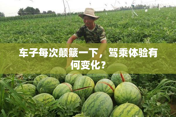 车子每次颠簸一下，驾乘体验有何变化？