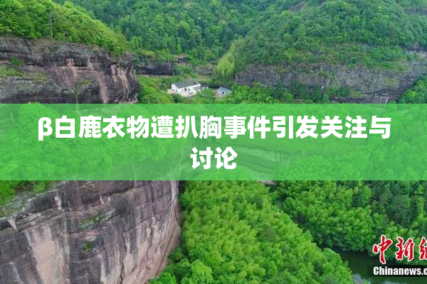 β白鹿衣物遭扒胸事件引发关注与讨论