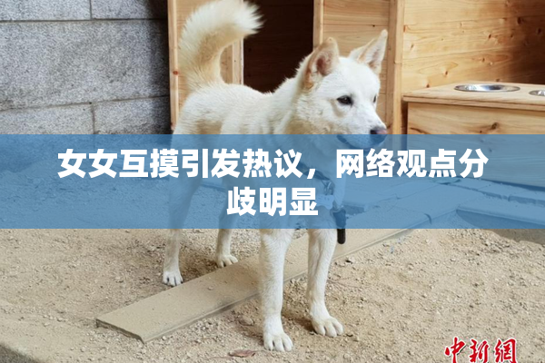 女女互摸引发热议，网络观点分歧明显