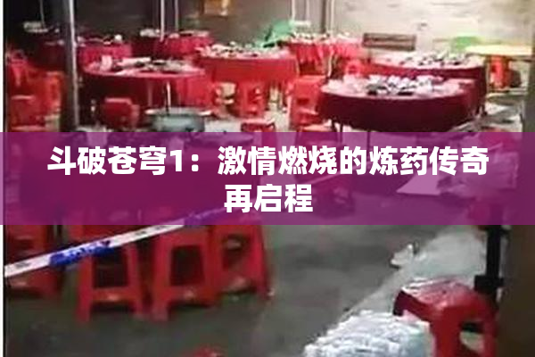 斗破苍穹1：激情燃烧的炼药传奇再启程