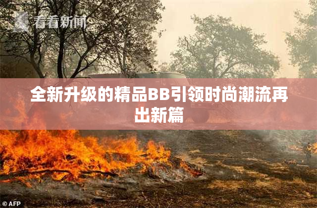全新升级的精品BB引领时尚潮流再出新篇