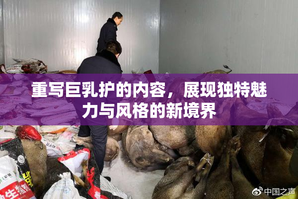 重写巨乳护的内容，展现独特魅力与风格的新境界