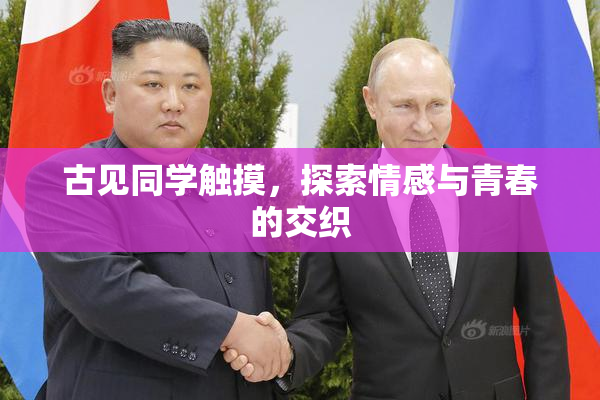 古见同学触摸，探索情感与青春的交织