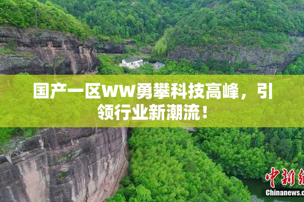 国产一区WW勇攀科技高峰，引领行业新潮流！