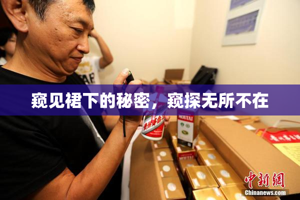 窥见裙下的秘密，窥探无所不在
