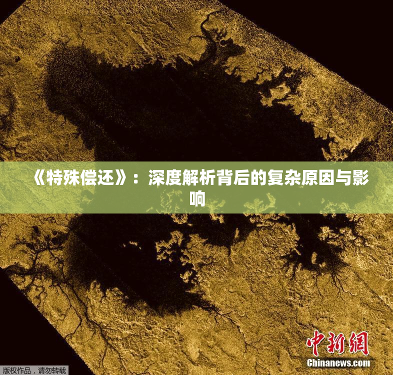 《特殊偿还》：深度解析背后的复杂原因与影响