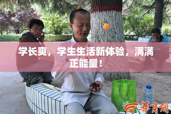 学长爽，学生生活新体验，满满正能量！