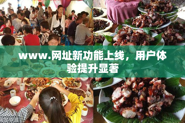 www.网址新功能上线，用户体验提升显著
