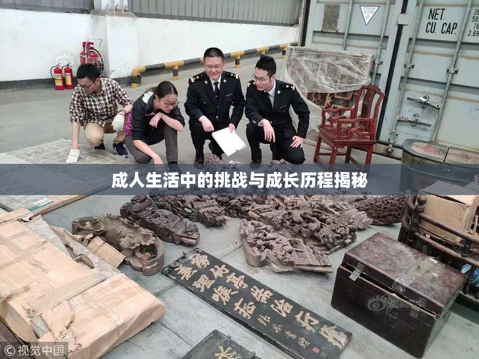 成人生活中的挑战与成长历程揭秘