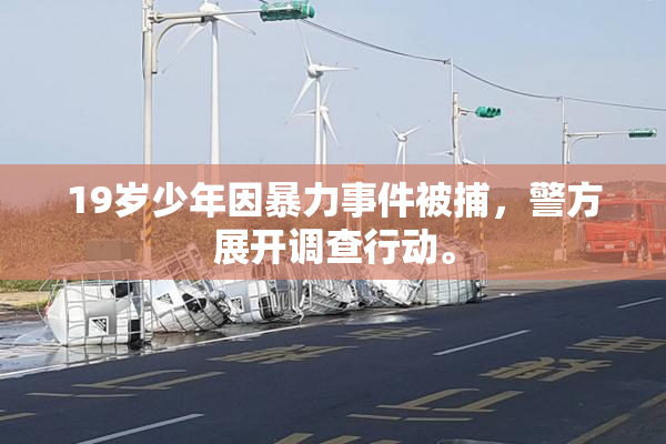 19岁少年因暴力事件被捕，警方展开调查行动。