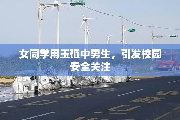 女同学用玉砸中男生，引发校园安全关注