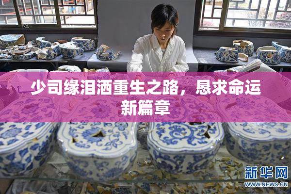 少司缘泪洒重生之路，恳求命运新篇章