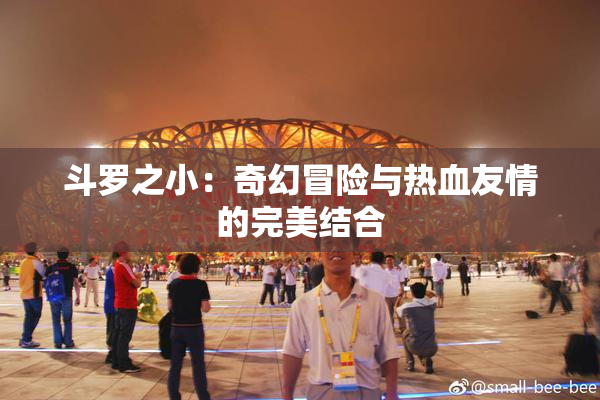 斗罗之小：奇幻冒险与热血友情的完美结合