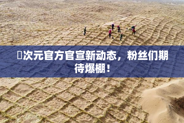 囧次元官方官宣新动态，粉丝们期待爆棚！
