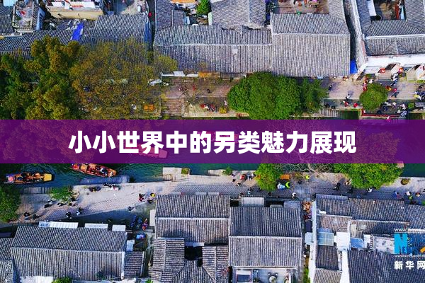 小小世界中的另类魅力展现