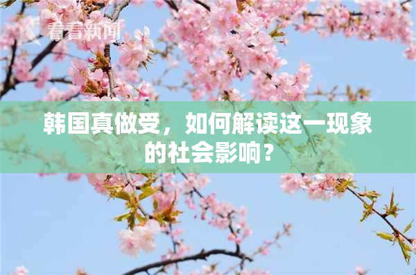 韩国真做受，如何解读这一现象的社会影响？