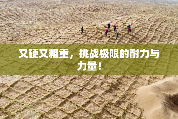 又硬又粗重，挑战极限的耐力与力量！