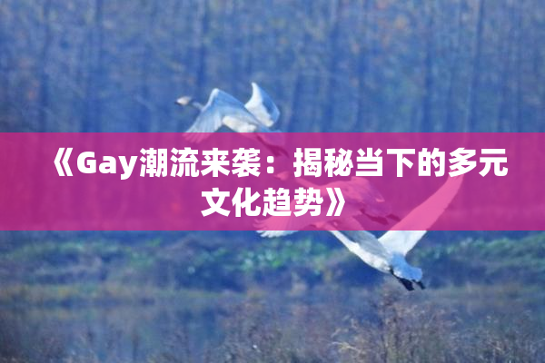 《Gay潮流来袭：揭秘当下的多元文化趋势》