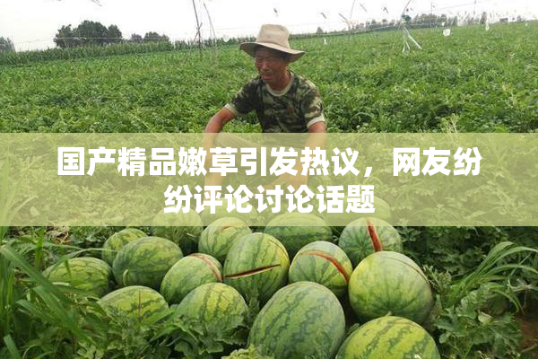 国产精品嫩草引发热议，网友纷纷评论讨论话题