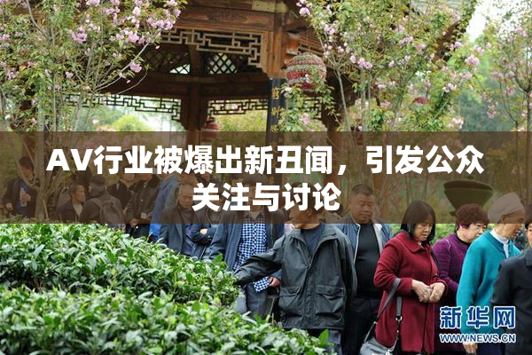 AV行业被爆出新丑闻，引发公众关注与讨论