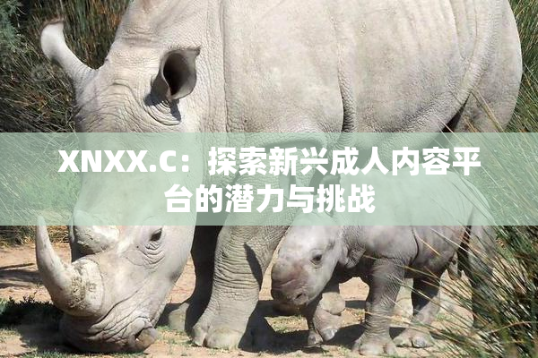 XNXX.C：探索新兴成人内容平台的潜力与挑战