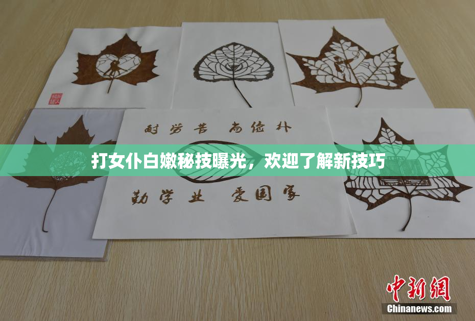 打女仆白嫩秘技曝光，欢迎了解新技巧