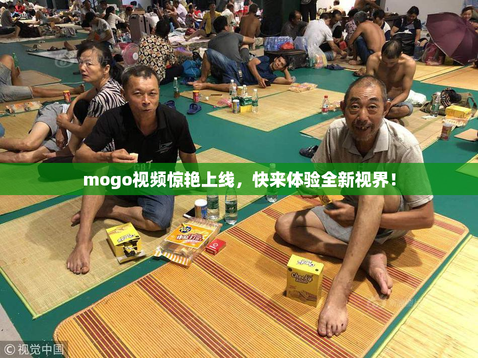 mogo视频惊艳上线，快来体验全新视界！