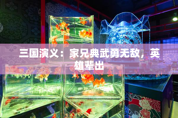 三国演义：家兄典武勇无敌，英雄辈出