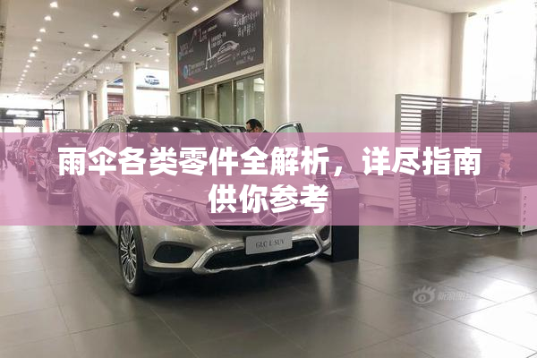 雨伞各类零件全解析，详尽指南供你参考
