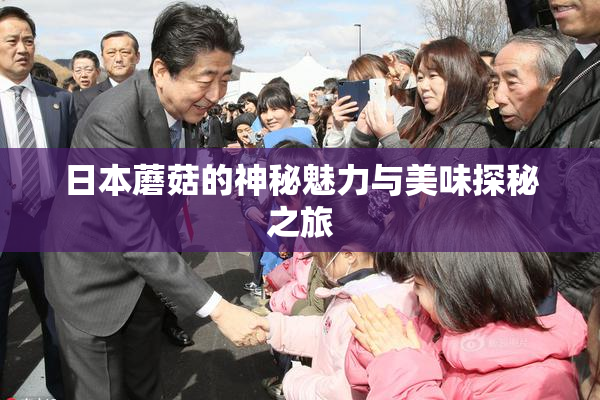 日本蘑菇的神秘魅力与美味探秘之旅