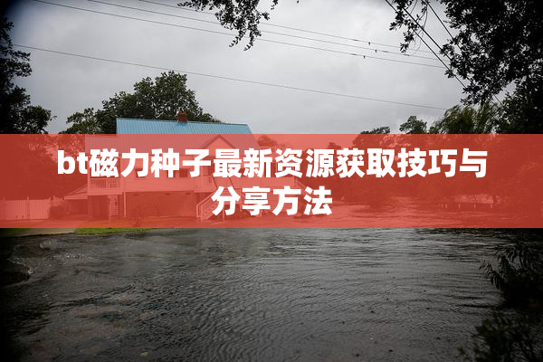 bt磁力种子最新资源获取技巧与分享方法